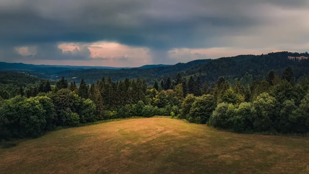 Bieszczady - restauracje