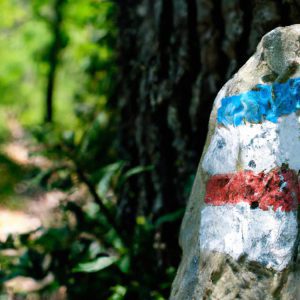 Co oznaczają oznaczenia na szlakach górskich - już nigdy nie zabłądzisz
