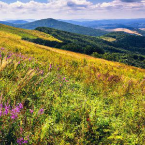 gdzie w bieszczady, żeby wędrować