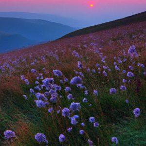 kiedy bieszczady są najpiękniejsze
