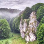Ojcowski Park Narodowy - najważniejsze atrakcje i piękne miejsca